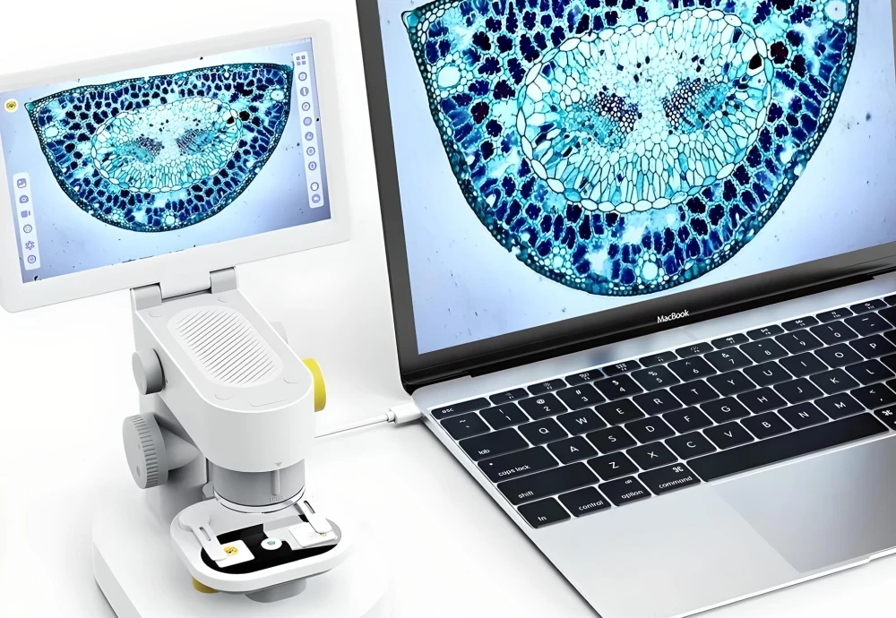 digital microscope education