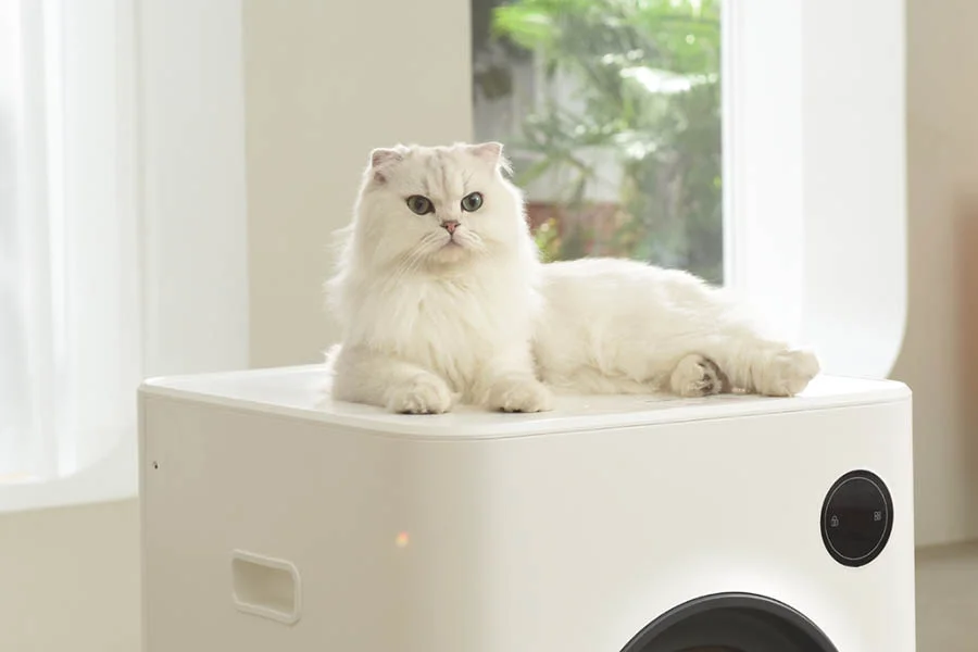 best automatic cat litter box for multiple cats