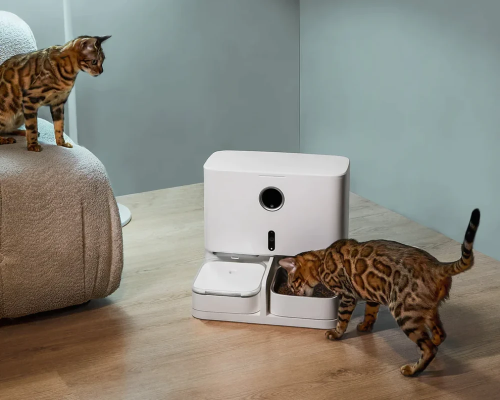 wifi automatic pet feeder