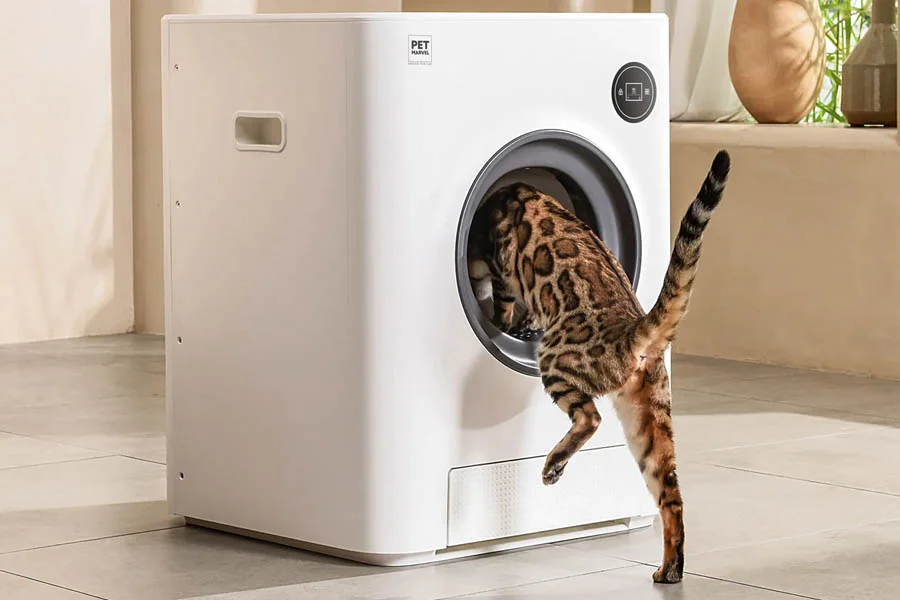 best no smell cat litter box