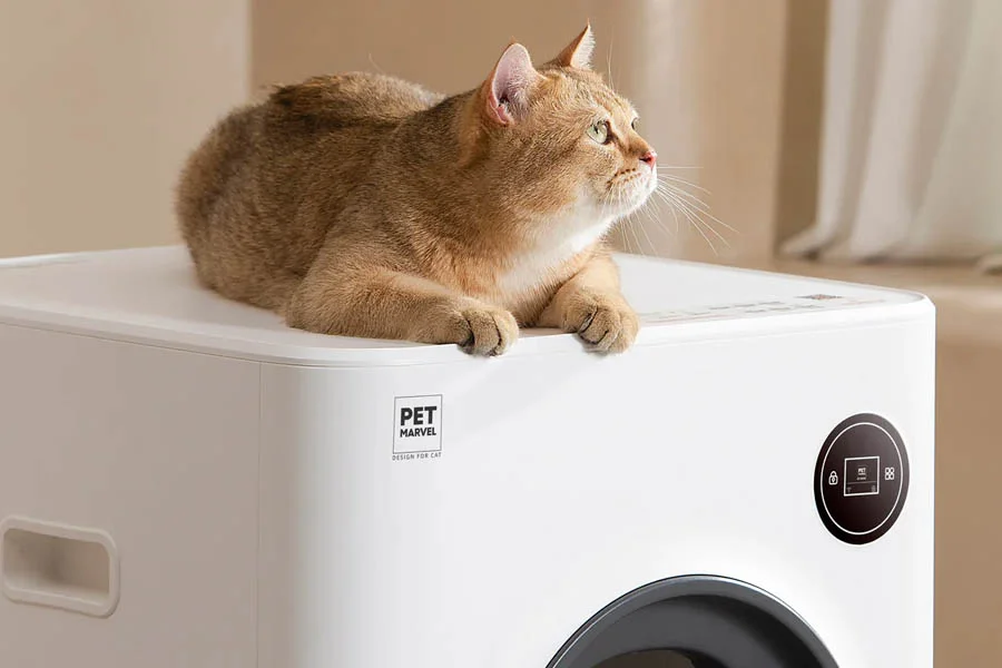 no scoop litter box