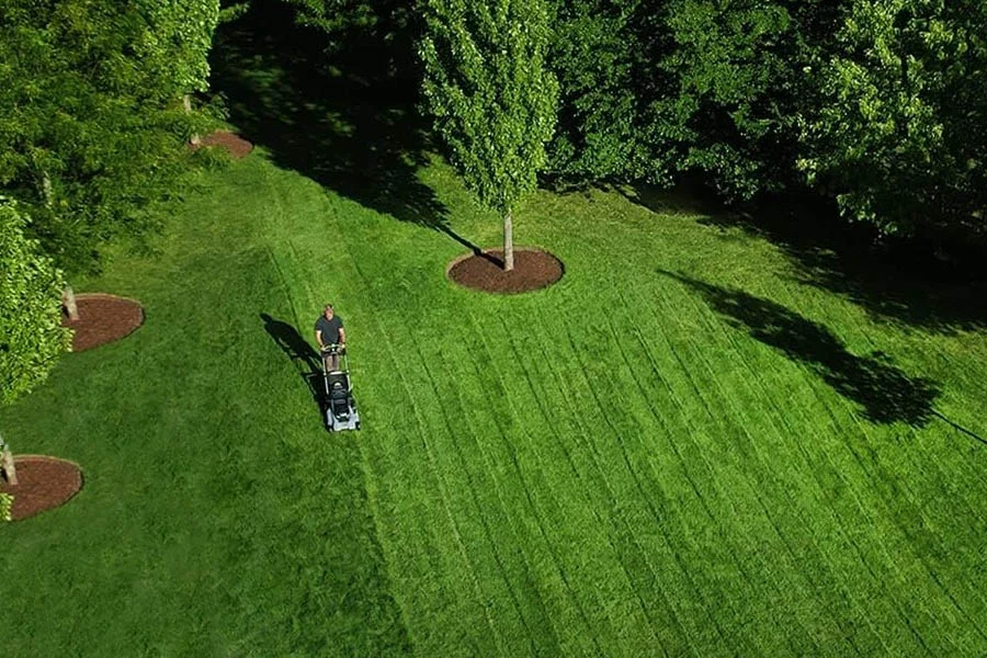 the lawn mower