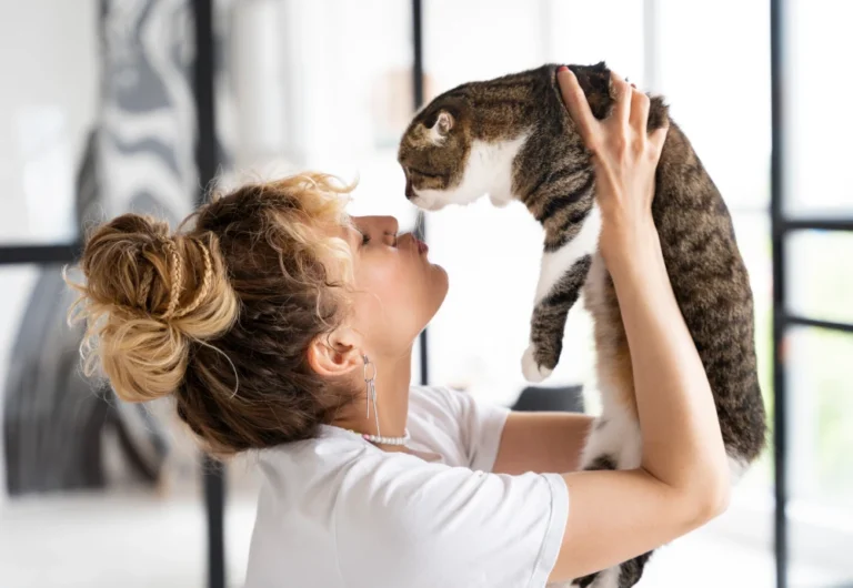 good pet cameras