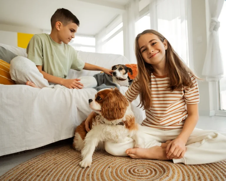 automatic pet feeder with camera