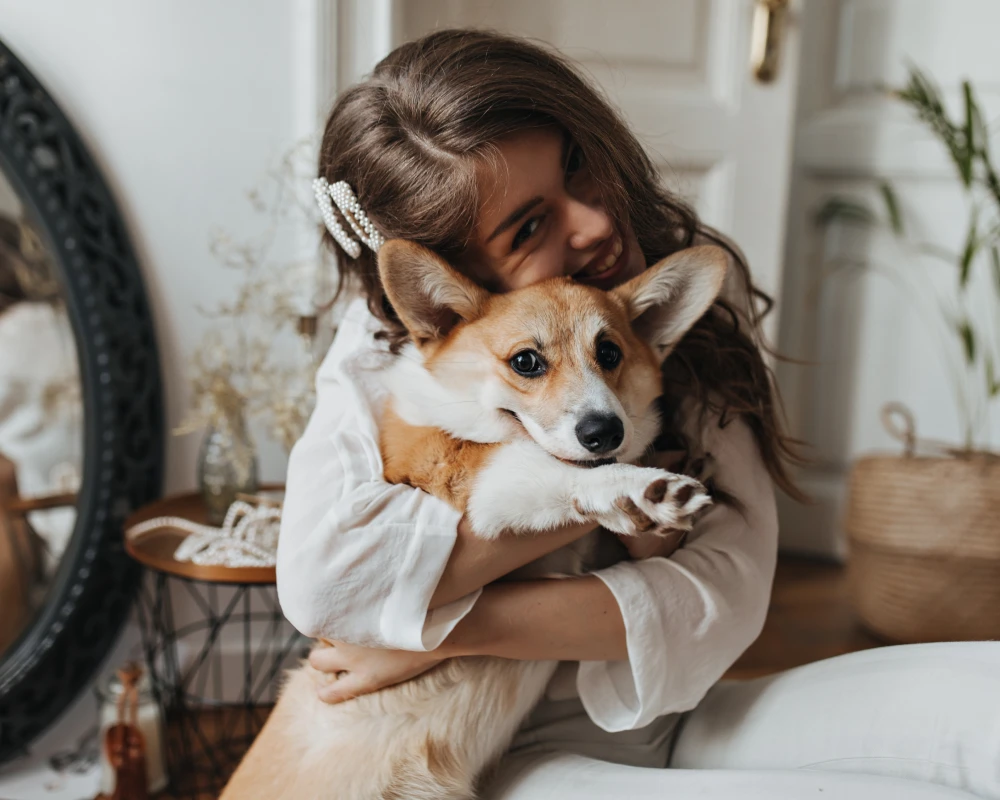 automatic pet feeding system